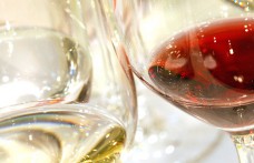 Tutti i vini VinoVip 2017