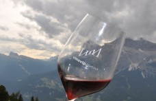 Wine-tasting delle Aquile