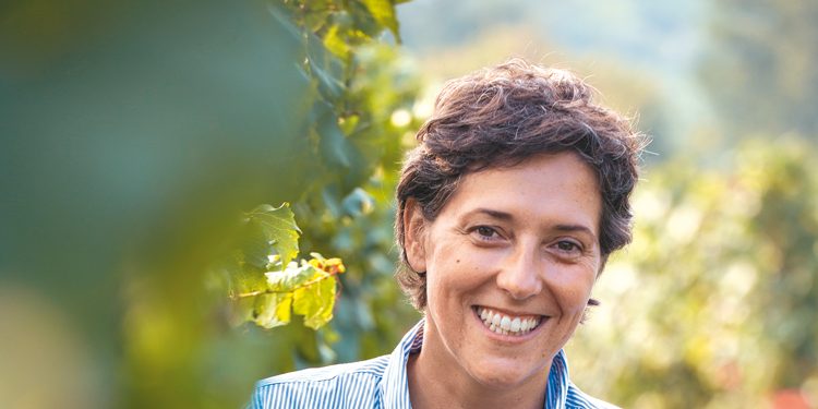 Terra Moretti